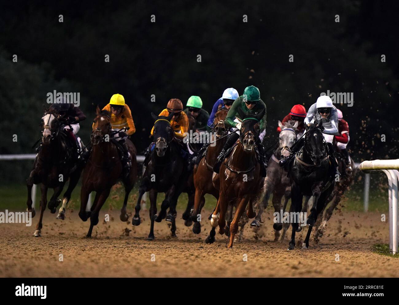 Läufer und Fahrer beim William Hill Extra Place Races Daily Racing League Race 33 Handicap auf der Wolverhampton Racecourse. Bilddatum: Donnerstag, 7. September 2023. Stockfoto