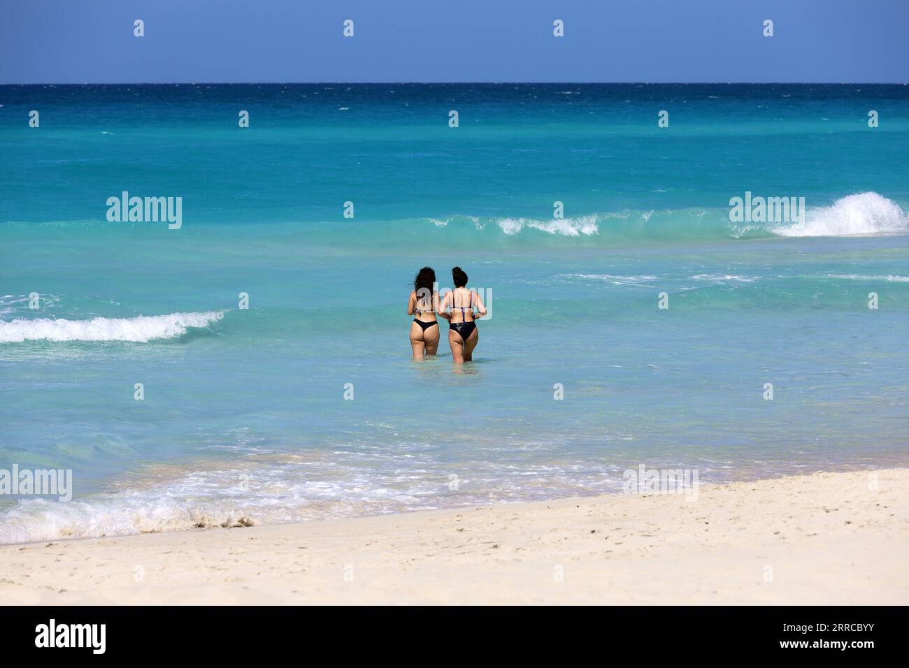 Zwei Frauen in Bademode, die im Meerwasser schwimmen, Rückansicht. Zwei Freundinnen am Strand Stockfoto