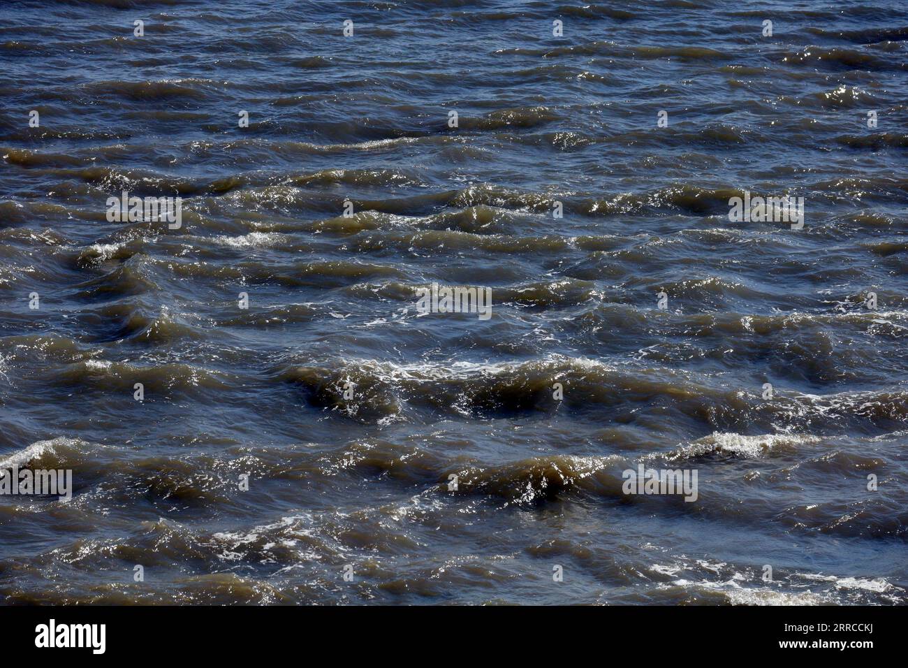 Jackson's Bay, Barry Island, September 2023. cym Stockfoto
