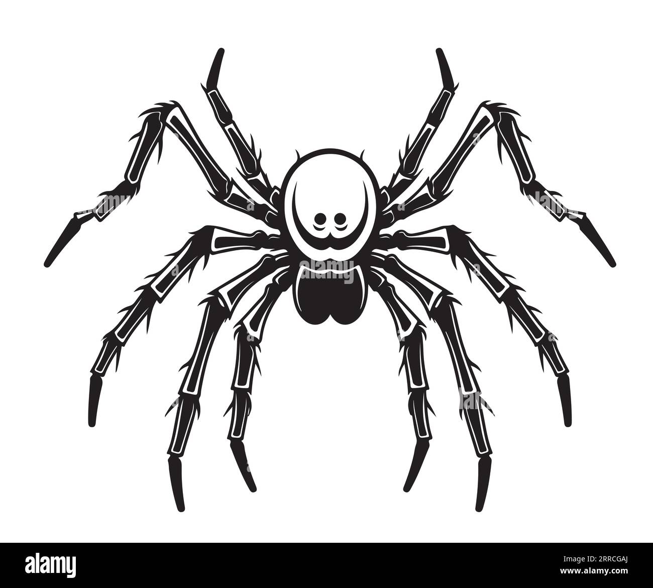 Spider Insecte Sketch Hand gezeichnet Halloween Vektor Stock Vektor