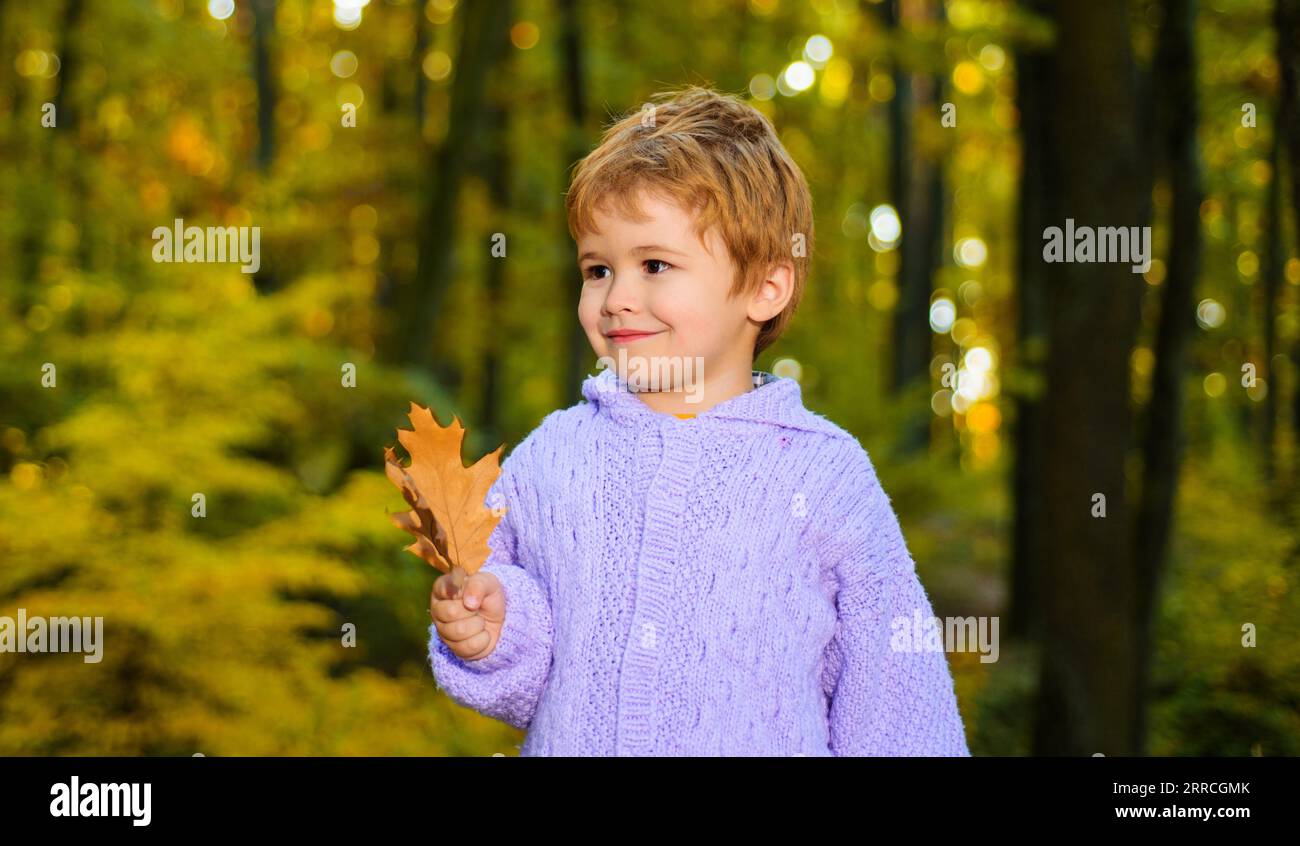Herbstkind mit Herbstlaub. Kleiner Junge, der in Herbstkleidung im Park spaziert. Lächelndes Kind im warmen Pullover, das im Herbstwald spielt. Ruhe im Herbst Stockfoto