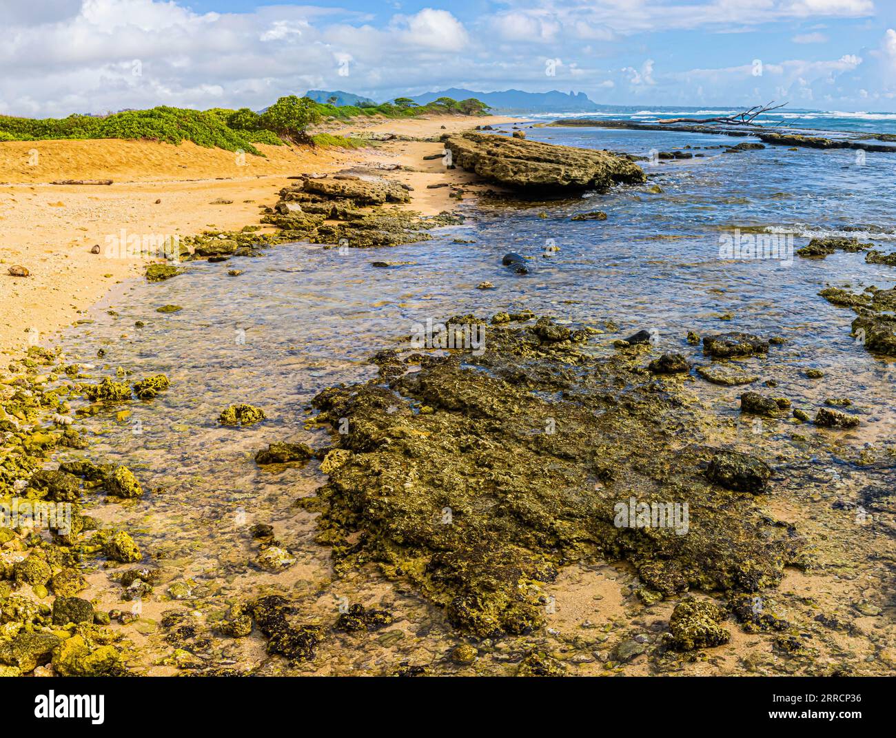 Exponiertes Korallenriff mit schlafendem Riesenberg in der Ferne, Nukolii Beach, Kauai, Hawaii, USA Stockfoto
