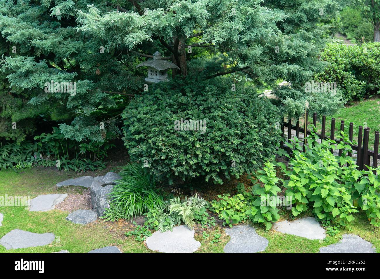 japanische Gartenlandschaft mit Steinlaterne unter Kiefern Stockfoto