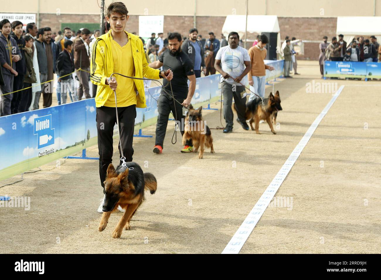 211212 -- RAWALPINDI, 12. Dezember 2021 -- Menschen mit ihren Hunden nehmen am 12. Dezember 2021 an der All Breed Dog Show in Rawalpindi in der pakistanischen Provinz Punjab Teil. PAKISTAN-RAWALPINDI-HUNDESHOW AhmadxKamal PUBLICATIONxNOTxINxCHN Stockfoto