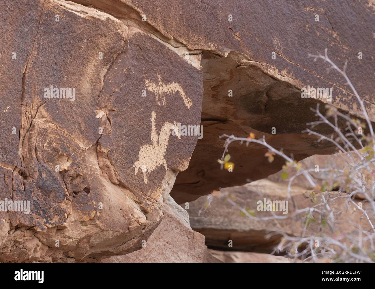 Antike Petroglyphen mit Pferden, großen Hornschafen, Ziegen, bemerkenswert in rotem Sandstein erhalten. Stockfoto