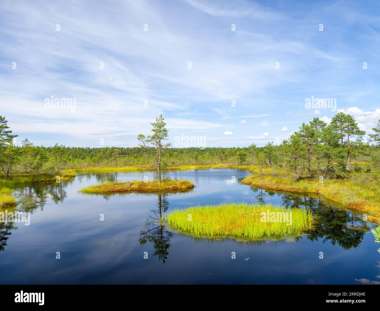 Malerische unberührte und geschützte Natur mit See im Laheema Nationalpark in der Nähe von Tallinn, Estland Stockfoto