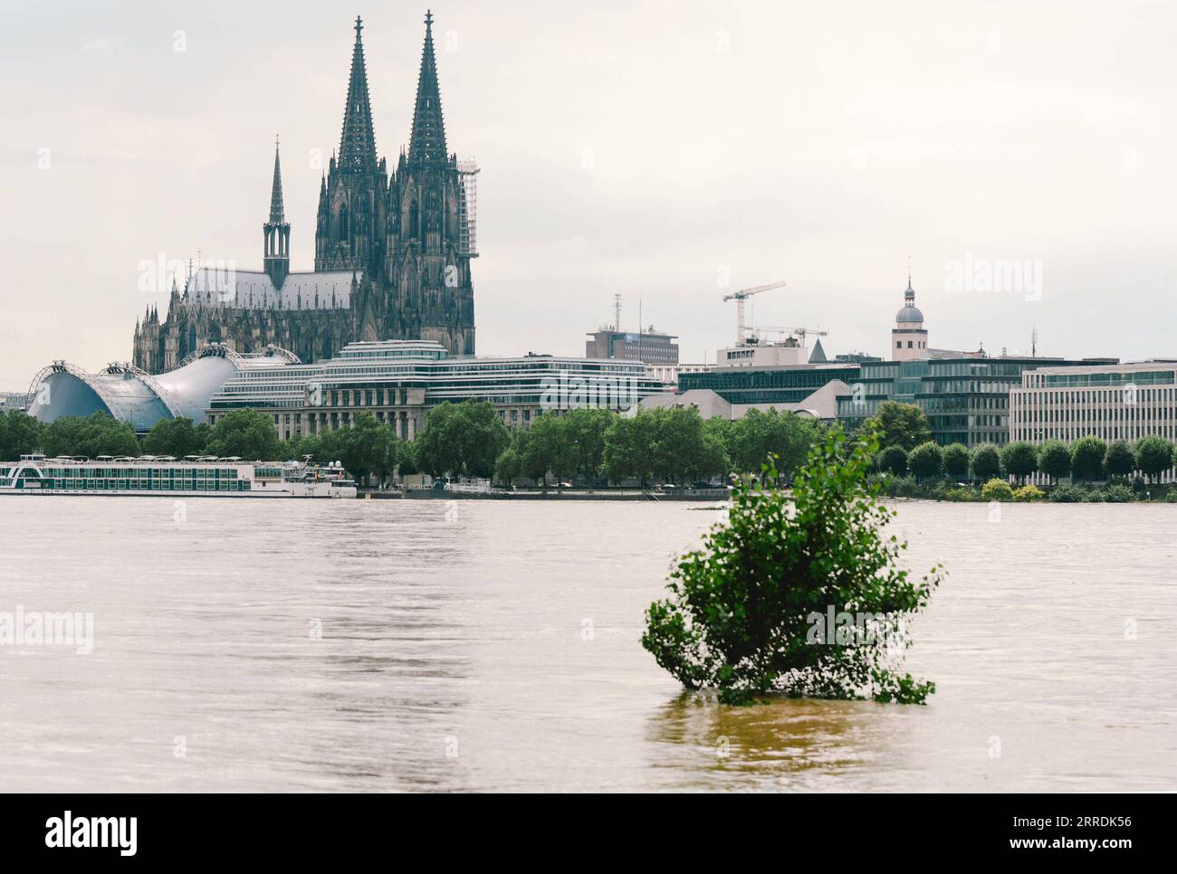211230 -- PEKING, 30. Dezember 2021 -- das Rheinufer wird am 15. Juli 2021 in Köln überflutet. Xinhuas Top-10-Weltnachrichten-Veranstaltungen 2021 auf der COP26 in Glasgow enden am 13. November, der 26. Tagung der Konferenz der Vertragsparteien auf der COP26 des Rahmenübereinkommens der Vereinten Nationen über Klimaänderungen, in Glasgow, Großbritannien. mit einem neuen globalen Pakt zur Bekämpfung des Klimawandels, der den Weg für eine umfassende und wirksame Umsetzung des Übereinkommens von Paris ebnet. Am Rande der Konferenz gaben China und die Vereinigten Staaten eine gemeinsame Erklärung zu HANC ab Stockfoto