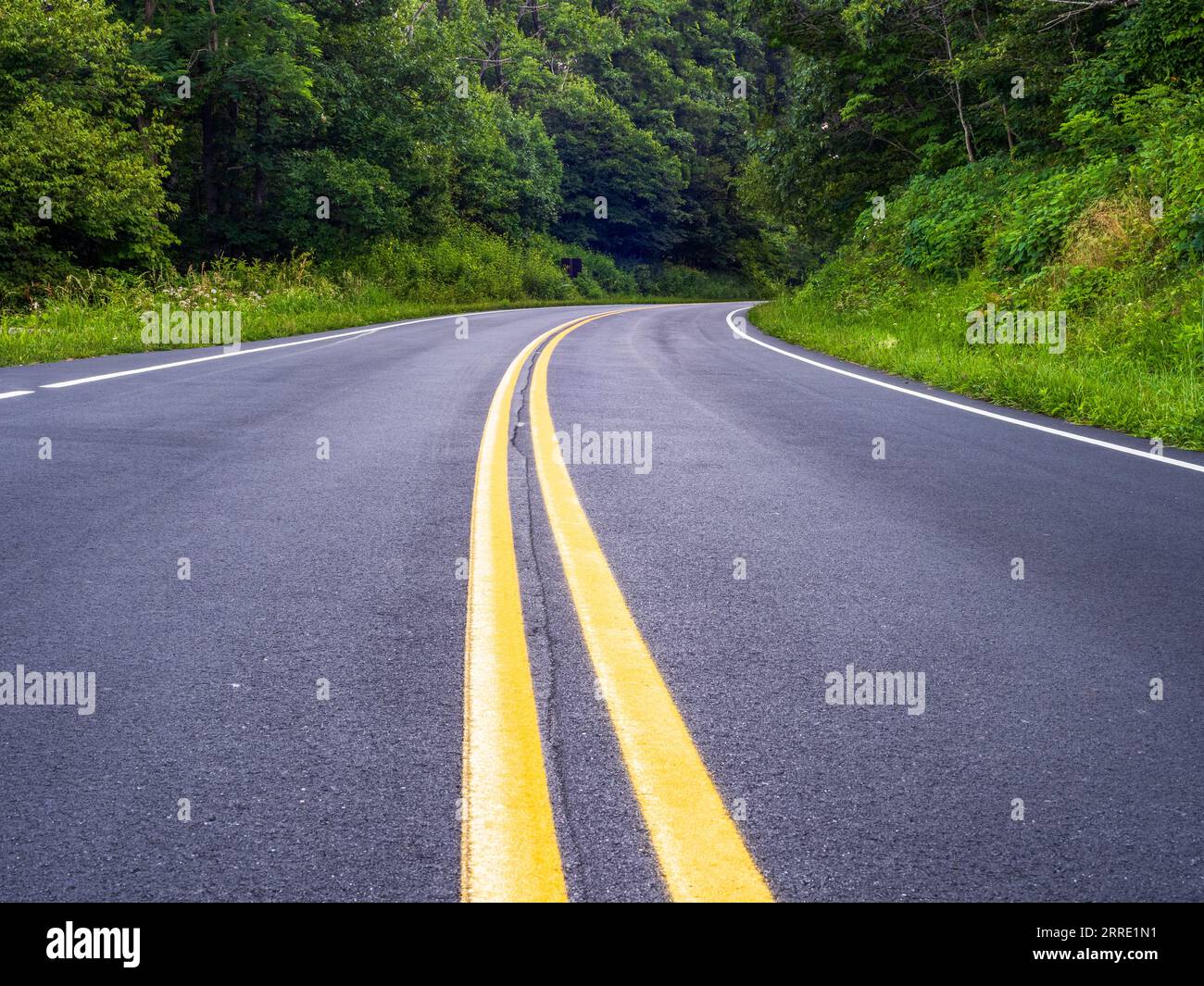 Der Skyline Drive mit seinen leuchtend gelben Mittellinien schlängelt sich durch den malerischen Shenandoah National Park in Virginia, USA. Stockfoto