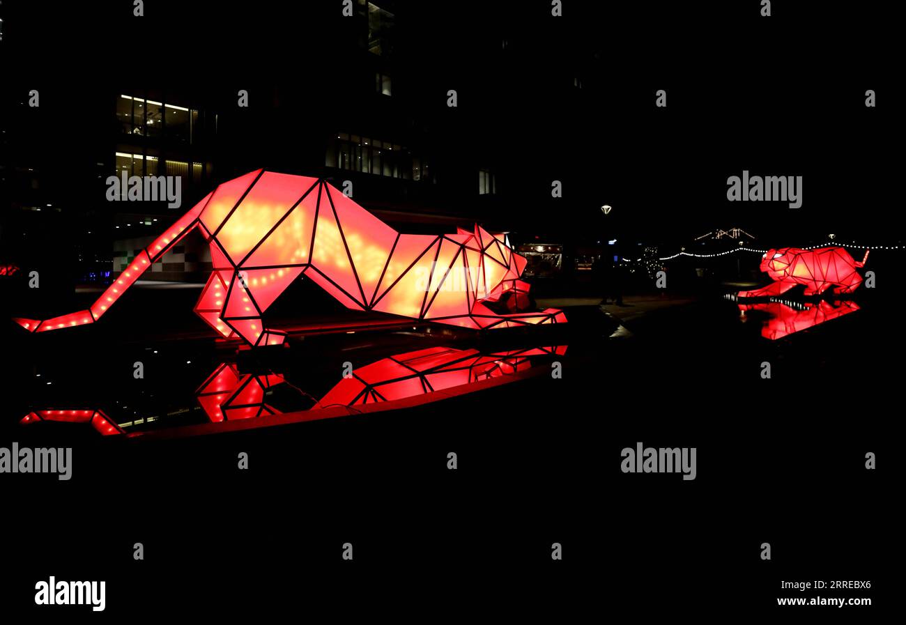 220218 -- LONDON, 18. Februar 2022 -- Installationen werden während des Light Festivals am Battersea Power Station in London, Großbritannien, 17. Februar 2022 gesehen. Das Light Festival findet vom 13. Januar bis zum 27. Februar 2022 statt. GROSSBRITANNIEN-LONDON-BATTERSEA KRAFTWERK-LICHT-FESTIVAL LIXYING PUBLICATIONXNOTXINXCHN Stockfoto