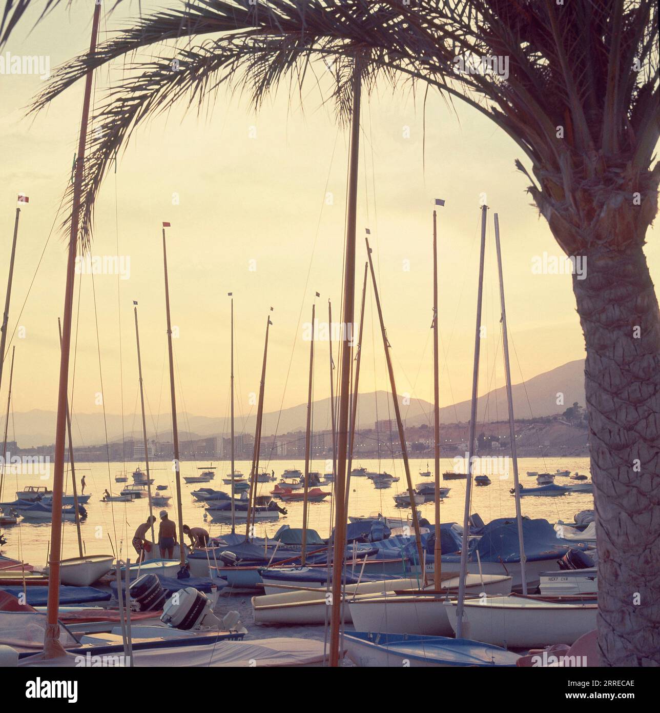 MASTILES DE VELEROS EN EL PUERTO AL ATARDECER - FOTO AÑOS 60 - FINALES. Lage: AUSSEN. Benidorm. Alicante. SPANIEN. Stockfoto