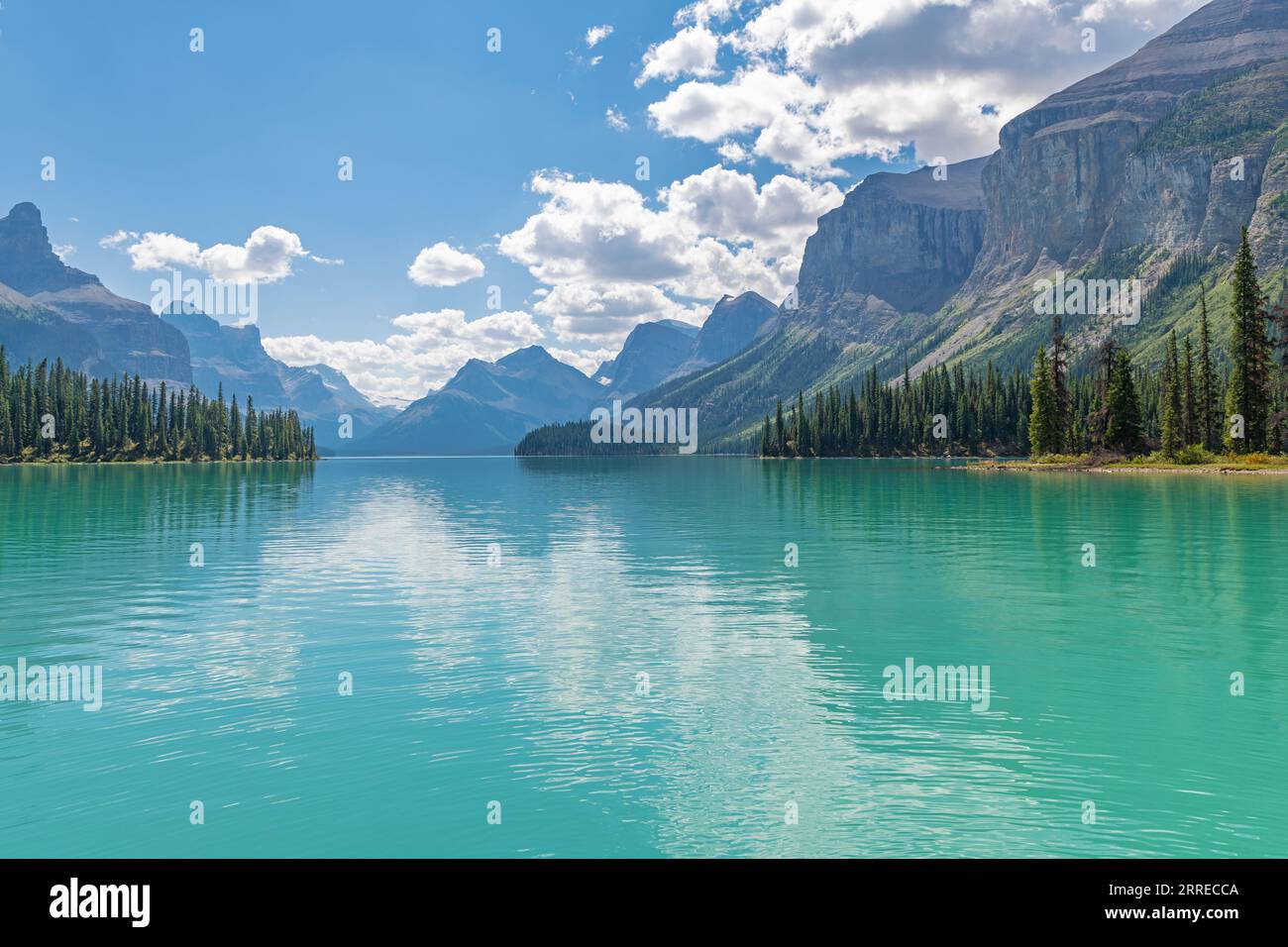 Maligne Lake Sommerreflexion mit den kanadischen rockies, Jasper Nationalpark, Kanada. Stockfoto