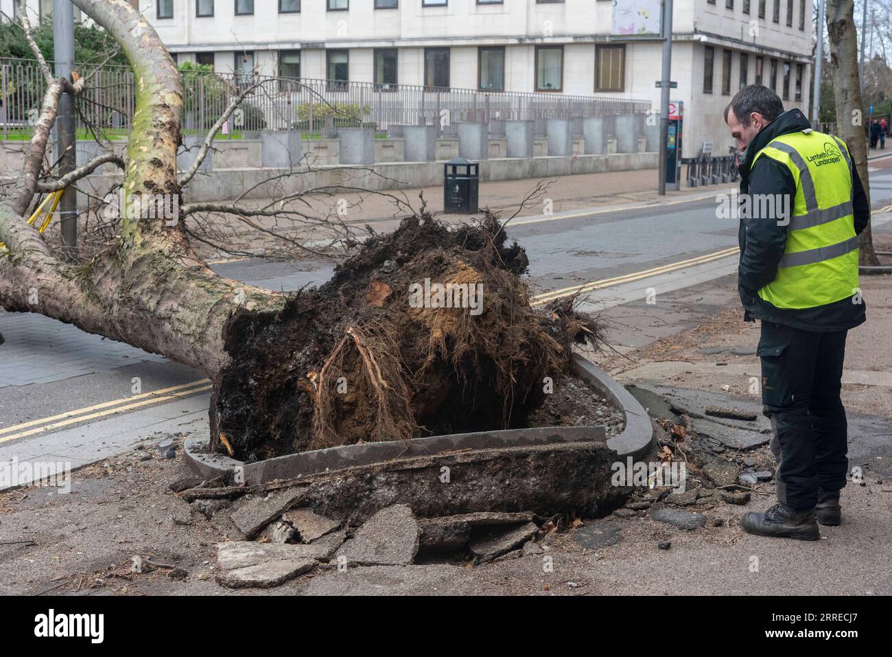 220219 -- LONDON, 19. Februar 2022 -- Foto aufgenommen am 18. Februar 2022 zeigt einen Landschaftsgärtner des gemeinderats, der einen umgestürzten Baum durch den Sturm Eunice in London, Großbritannien, inspiziert. Eunice gilt als einer der schlimmsten Stürme seit drei Jahrzehnten und hat Großbritannien am Freitag einen Rekordwind gebracht, bei dem drei Menschen getötet wurden, während es zu massiven Stromausfällen, Flugausfällen und Schulschließungen im ganzen Land kam. Eine Frau in den 30er Jahren in Nordlondon wurde getötet, als ein Baum auf ihr Auto fiel, ein Mann in seinen 20er Jahren starb, als sein Lkw mit einem umgestürzten Baum in Südengland kollidierte, und ein Mann in seinen 50er Jahren in Nordwestengland starb d Stockfoto