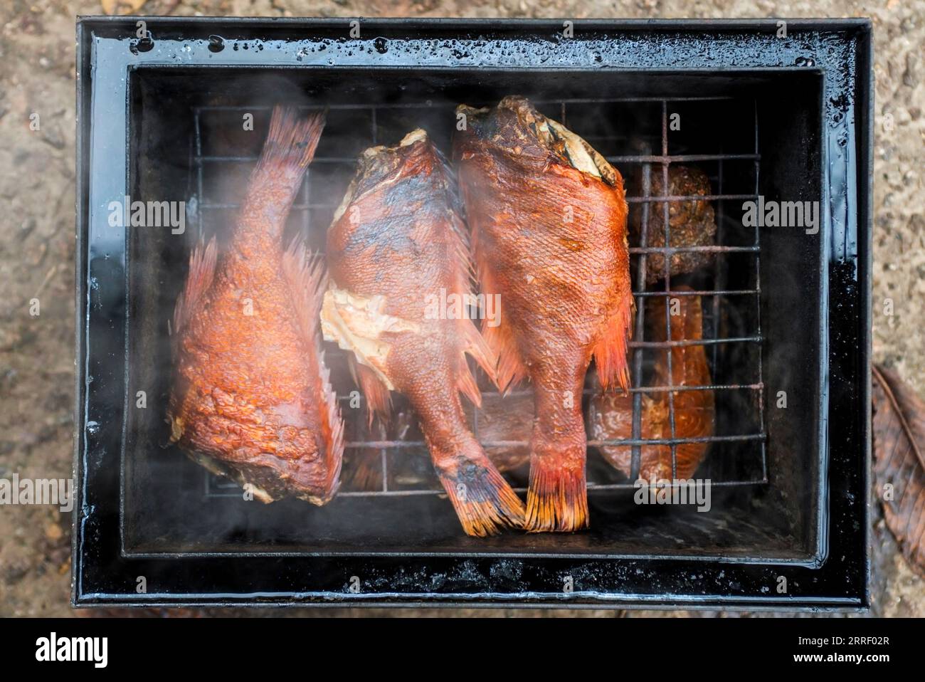 Geräucherter Fisch in einer Räucherdose. Stockfoto