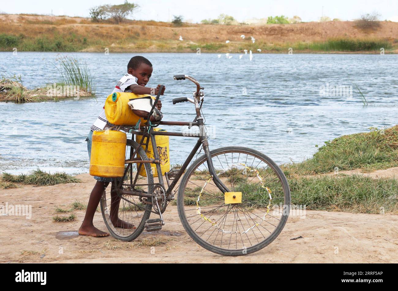 220330 -- KILIFI, 30. März 2022 -- A Boy lädt einen Eimer Wasser auf ein Fahrrad in Kidemu Sublocation in Kilifi County, Kenia, 23. März 2022. Verstreut auf der 5 Hektar großen Farm im Dorf Bandari, Kidemu im Kilifi County, wurden Maispflanzen verdorben. Adam Ndamunga, ein Offizier der Kenya National Dürre Management Authority NDMA in Kilifi, sagte, dass die Dürresituation in der Region im August 2021 begann und aufgrund unzureichender Regenfälle Fortschritte gemacht habe. Das Hilfswerk der Vereinten Nationen erklärte, das Horn von Afrika erleide eine der schlimmsten Dürren der jüngsten Geschichte. Stockfoto