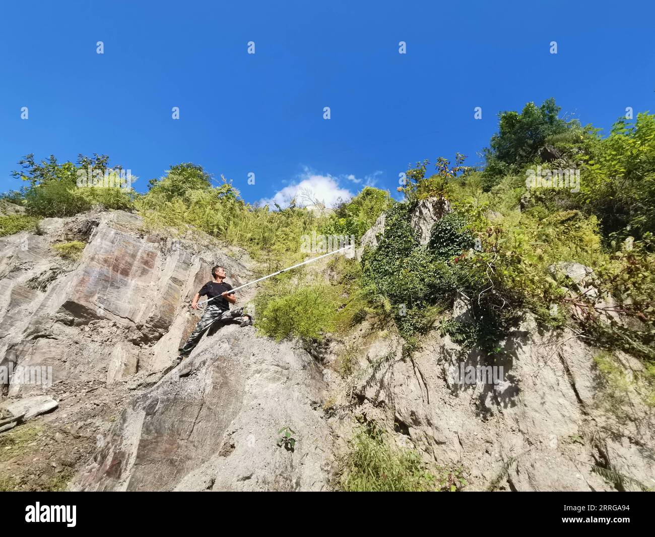 220515 -- JINAN, 15. Mai 2022 -- Ein Forscher sammelt im September 2021 Pflanzenproben in den Qinling Mountains in der nordwestchinesischen Provinz Shaanxi. Schlagzeilen: Chinesische Keimplasmbank bewahrt Biodiversität in der warmen gemäßigten Zone Xinhua PUBLICATIONxNOTxINxCHN Stockfoto