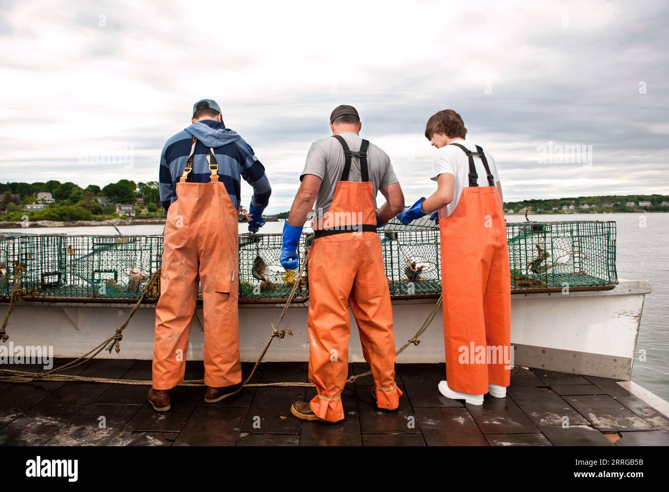 Lobstermenschen überprüfen Fallen auf dem Boot in Casco Bay Stockfoto