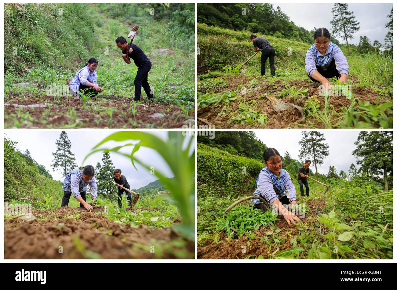 220516 Zunyi 16 Mai 2022 Dieses Kombinationsfoto Zeigt Zhao Youliang Und Jian Qin Die 