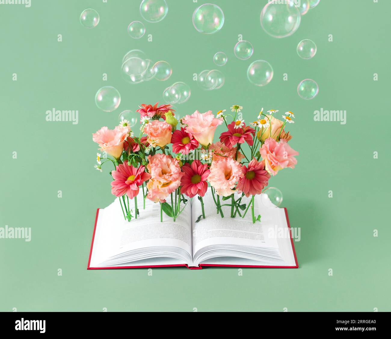 Offenes Buch mit rosa Blumen. Lesen Sie das Konzept der Bücher. Abdeckung für Bibliothek Stockfoto