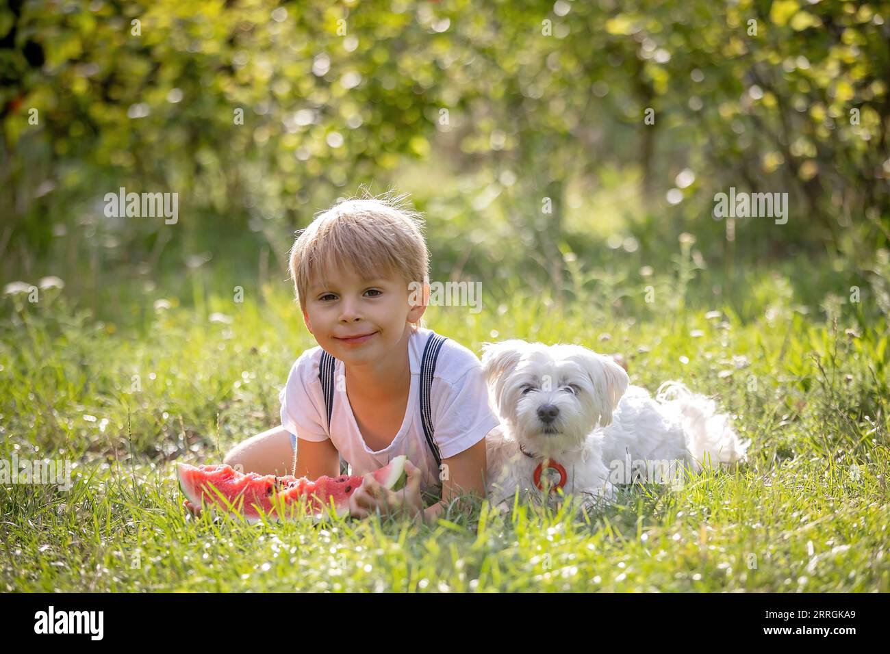 Erstaunlich blondes Kleinkind, Junge mit Hund, isst Wassermelone im Garten, im Sommer Stockfoto