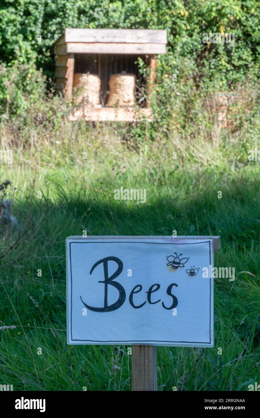 Weidenbienenstöcke oder Skeps für Honigbienen (APIs mellifera), Bienenhaltung, Imkerei, mit Warnschild Stockfoto