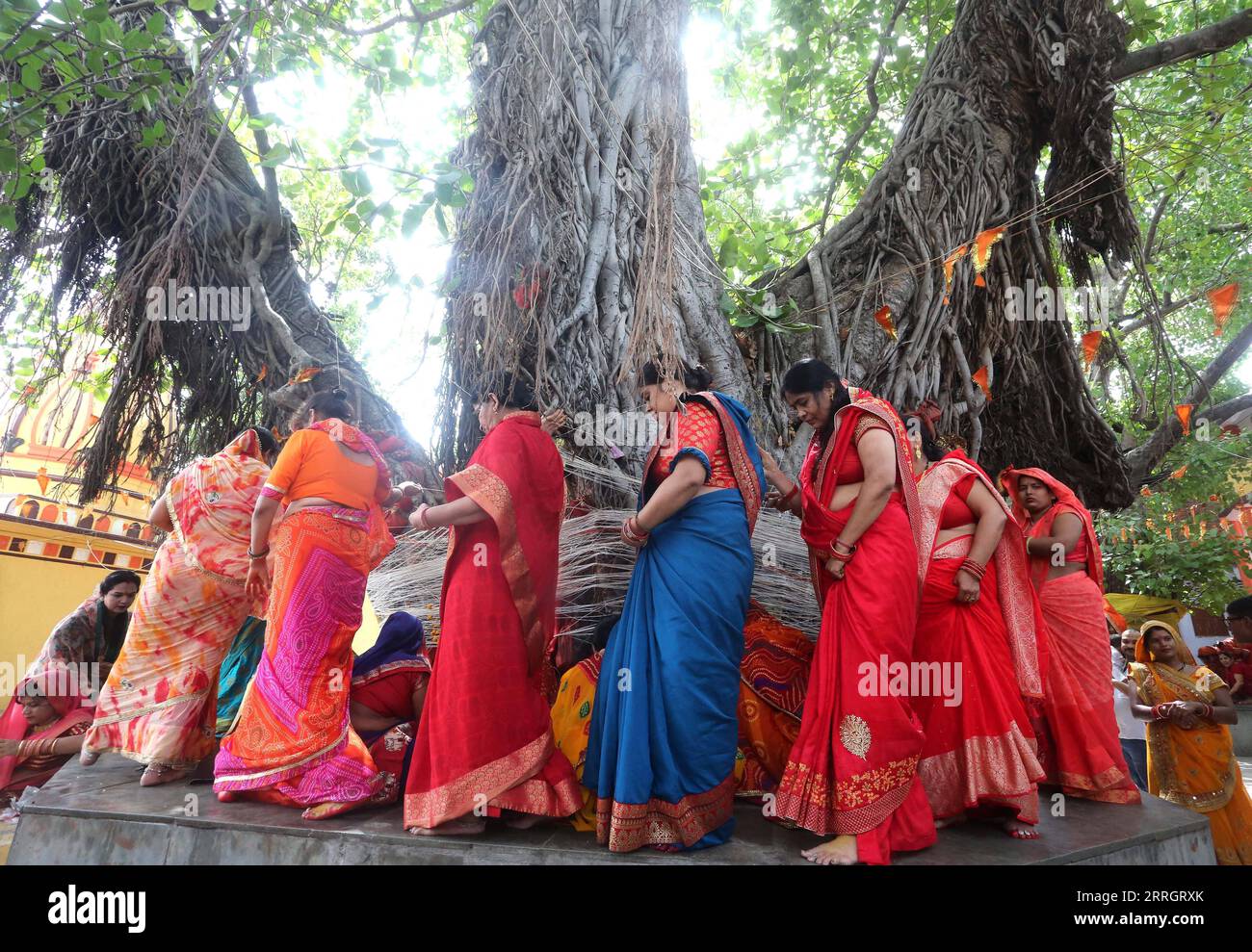 220530 -- BHOPAL, 30. Mai 2022 -- Frauen verehren einen Banyan-Baum anlässlich des VAT Savitri Puja Festivals in Bhopal, der Hauptstadt des indischen Bundesstaates Madhya Pradesh, 30. Mai 2022. Indische verheiratete Frauen beten für ein langes Leben ihrer Ehemänner, indem sie einen Tag lang fasten und den Banyan-Baum verehren. STR/Xinhua INDIA-BHOPAL-BANYAN TREE WORSHIP FESTIVAL JavedxDar PUBLICATIONxNOTxINxCHN Stockfoto