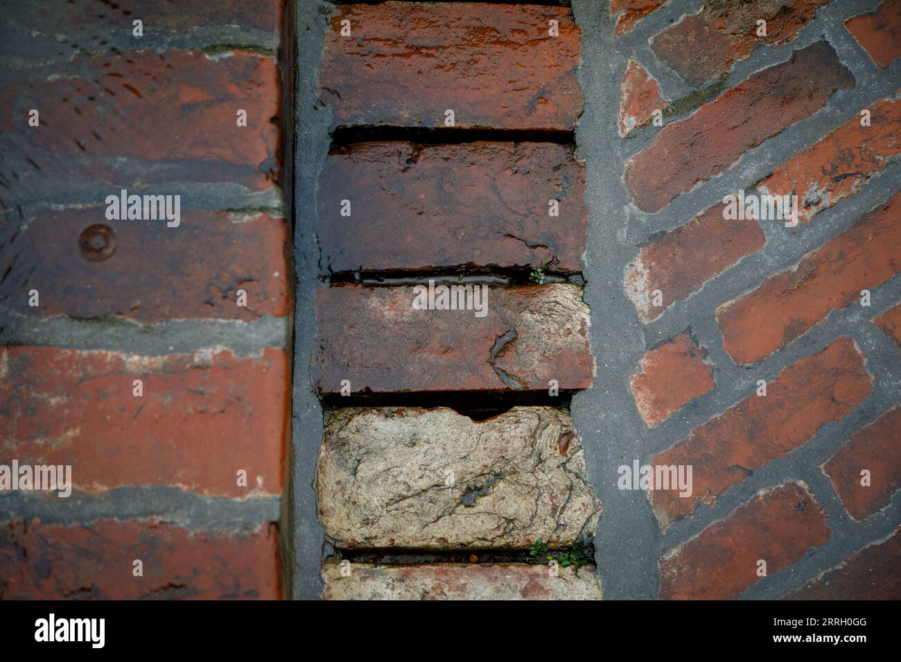 Ziegelarbeiten im Friendship Center. Das Friendship Center in der Nähe der Kreisstadt Gaibandha in Bangladesch ist für eine NGO, die mit einigen der ärmsten im Land zusammenarbeitet und hauptsächlich auf Flussinseln (Chars) mit sehr begrenztem Zugang und Möglichkeiten lebt. Friendship nutzt die Einrichtung für eigene Trainingsprogramme und vermietet auch für Meetings, Schulungen, Konferenzen usw. als Einkommensgenerierung. Stockfoto