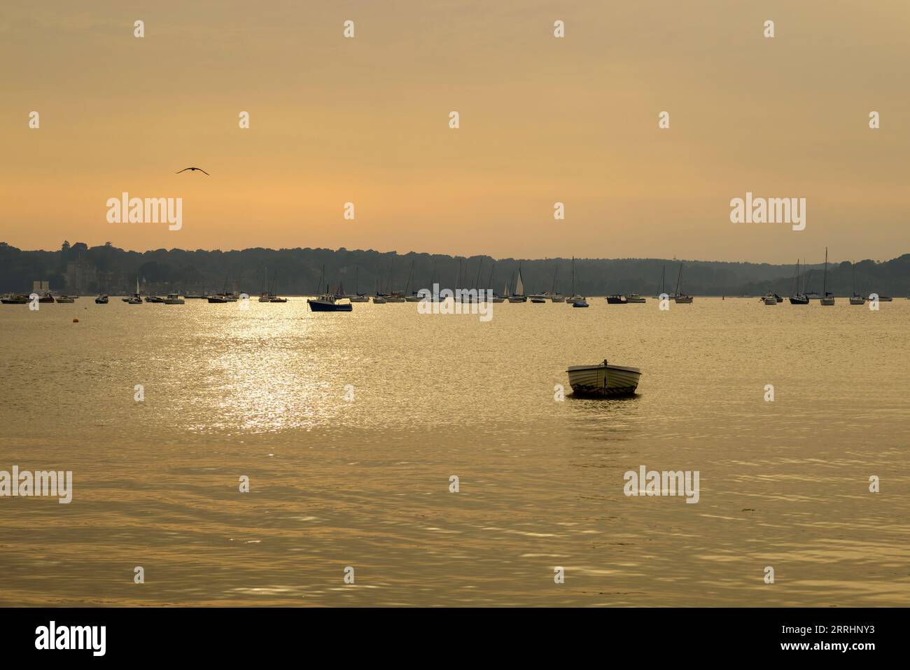 Poole Harbour mit Blick auf Browsea Island mit kleinen Booten im warmen Sommerabendlicht des Sonnenuntergangs, Dorset, Großbritannien Stockfoto