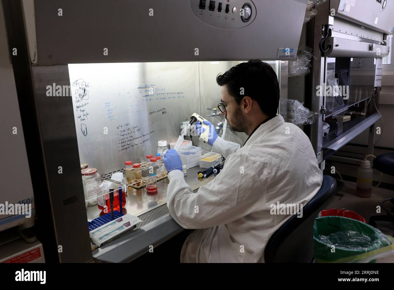 (230908) -- JERUSALEM, 8. September 2023 (Xinhua) -- Ein Forscher arbeitet am 7. September 2023 in einem Labor für Biowissenschaften am Weizmann Institute of Science (WIS) in der israelischen Stadt Rechovot. Stammzellforscher haben künstliche Modelle menschlicher Embryonen geschaffen und diese bis zum 14. Tag erfolgreich außerhalb der Gebärmutter gezüchtet, sagte WIS in Zentralisrael in einer Erklärung am Mittwoch. In einer neuen Studie, die in der Zeitschrift „Science“ veröffentlicht wurde, erstellten die Forscher künstliche Stammzell-Embryo-Modelle, die alle wesentlichen Merkmale und Komponenten dieses Entwicklungsstadiums genau nachahmen, einschließlich der Plazenta, Dotter Stockfoto
