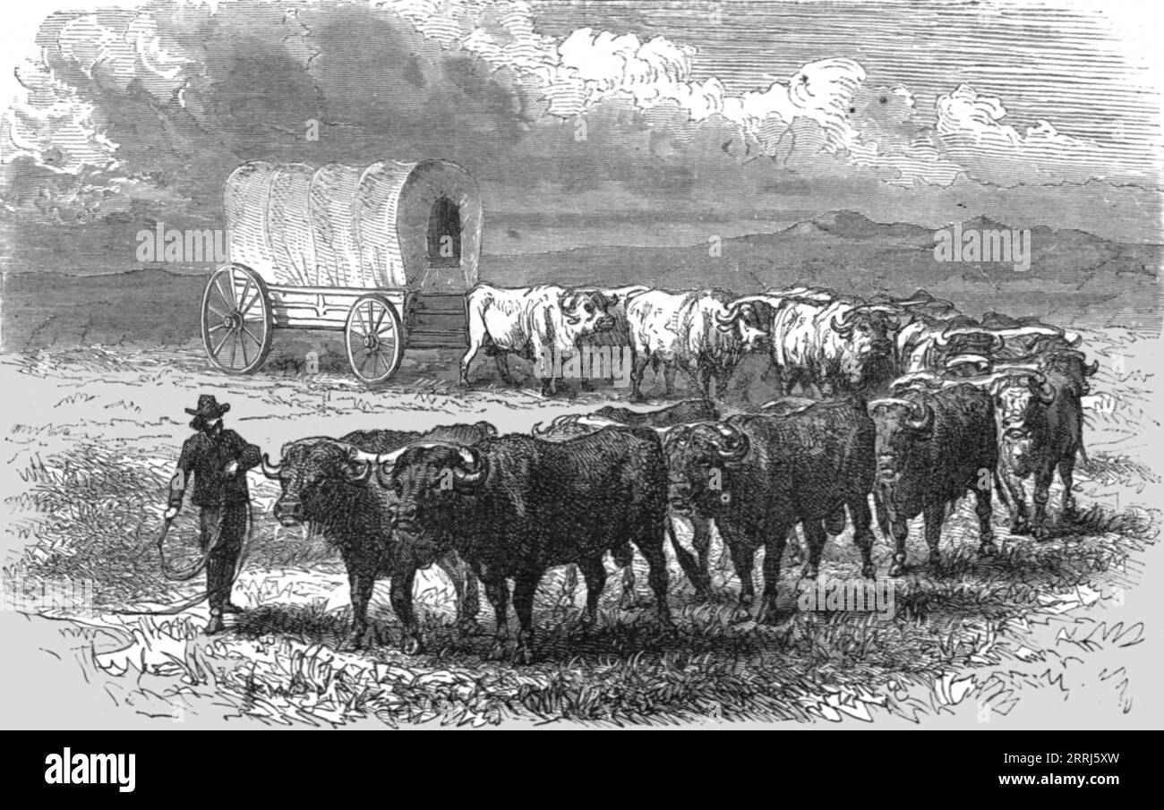 Der "Prairie Schooner". -- Emigrantenwagen auf den Ebenen; Ozean zu Ozean, die pazifische Eisenbahn, 1875. Von „Illustrated Travels“ von H.W. Bates. [Cassell, Petter und Galpin, 1880, London] Stockfoto