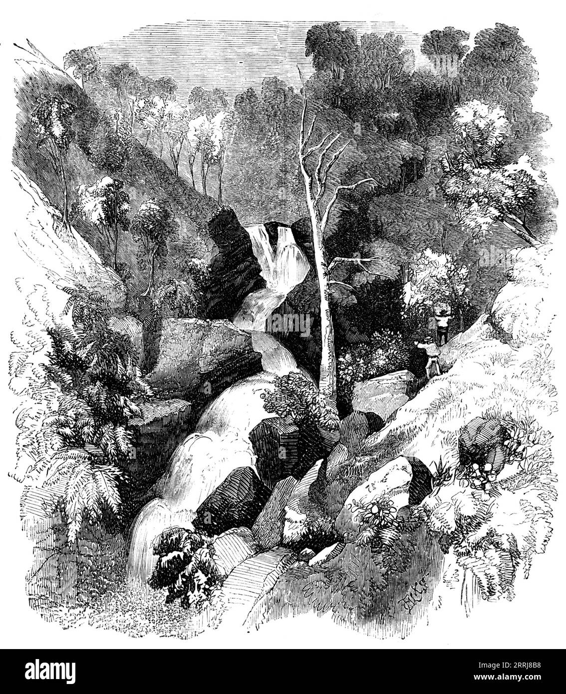 Bunyarrambite Wasserfälle, in der Nähe von Melbourne, 1858. Diese Wasserfälle sind 300 Meter hoch und befinden sich am Yarram-Bach des Flusses Goulburn, mehr als 80 Meilen von Melbourne entfernt, auf der Station von John Aitkin, Esq. Dieser Bach mündet nach sieben oder acht Meilen in den Goulburn River. Bei seinem jüngsten Besuch sagt Ramsay über diesen Fluss: „Die Ufer waren gesäumt von Farnen, Moschuspflanzen, Mimosen, Zitronenpflanzen und anderen, die zu zahlreich waren, um sie zu erwähnen, aber deren Blüten und Blüten den feinsten Duft verströmten. Die wilde Rebe kroch von Baum zu Baum und hängte die Zweige mit fa auf Stockfoto