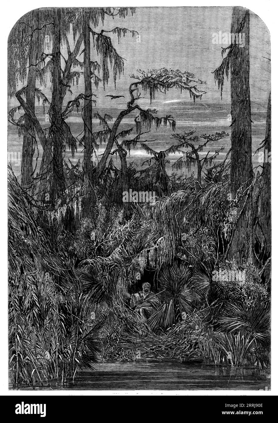 Transatlantic Sketches - A Swamp in Louisiana - aus einer Zeichnung von Mrs. Bodichon, 1858. Die majestätischen Flüsse überfließen ihre Ufer jedes Jahr, und brechen über die künstlichen Deiche, die sie in ihren natürlichen Kanälen halten, und legen ihr Wasser in die niedrigen Böden und Höhlen der Wälder. Es gibt keinen Fall, durch den sie wieder in den Elternstrom zurückkehren können, das Wasser schwimmt in der heißen Sonne oder schwebt im dicken, drückenden Schatten der Bäume, wo nichts blüht außer der Landschildkröte, dem Alligator, der Klapperschlange, und der Mokassin - letzterer ist klein, aber ver Stockfoto