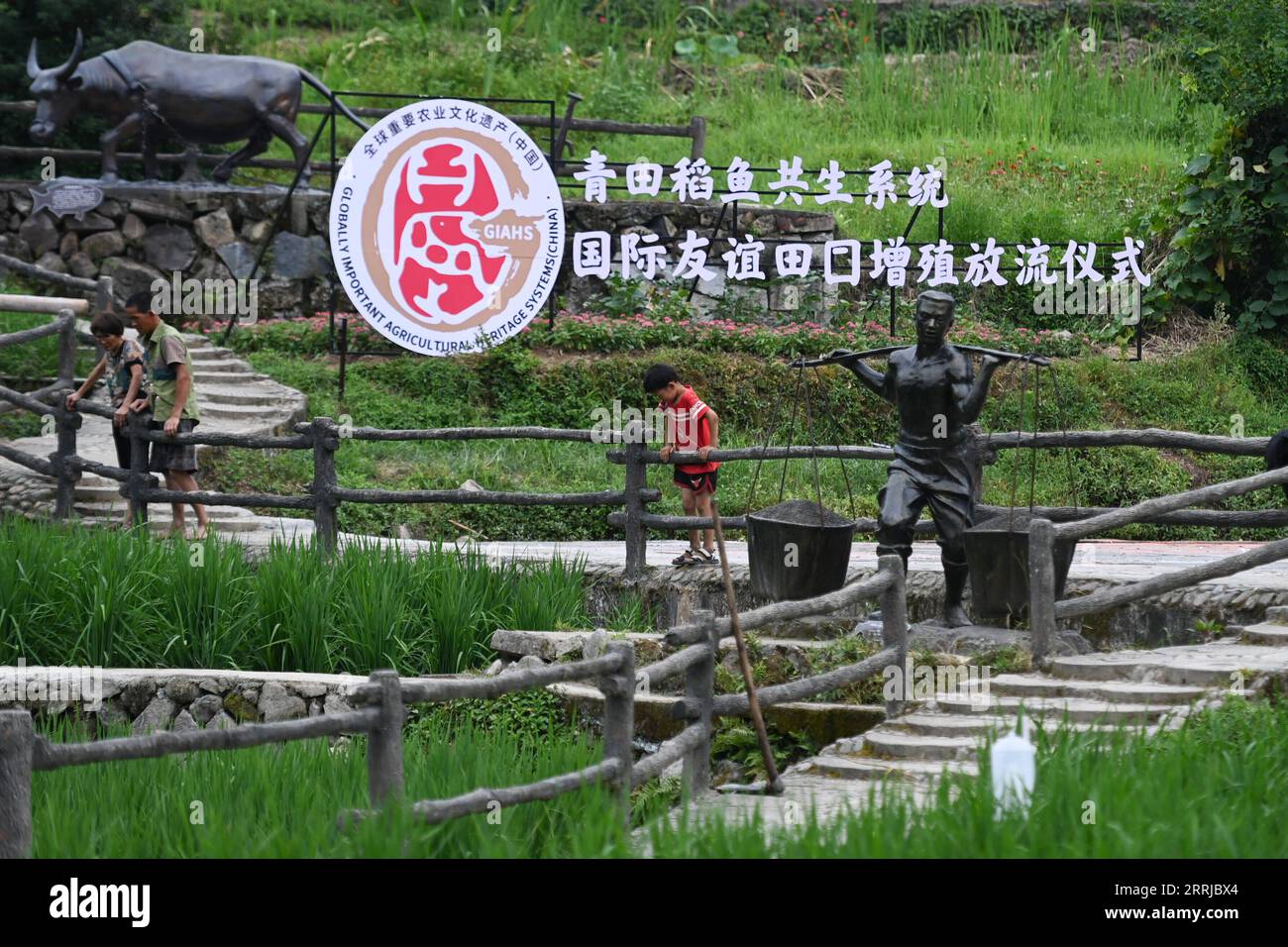 220719 -- QINGTIAN, 19. Juli 2022 -- Menschen besuchen ein Schutzgebiet des Reis-Fisch-Ko-Kultursystems im Qingtian County in der ostchinesischen Provinz Zhejiang, 18. Juli 2022. Das Reis-Fisch-Ko-Kultursystem in Qingtian hat eine Geschichte von mehr als 1.300 Jahren und wurde in der weltweit ersten Gruppe der weltweit bedeutenden GIAHS-Systeme für landwirtschaftliches Erbe aufgeführt, die 2005 von der Ernährungs- und Landwirtschaftsorganisation der Vereinten Nationen FAO benannt wurden. Qingtian im südwestlichen Teil von Zhejiang verfügt über ausreichende Wasserressourcen und eine terrassenförmig angelegte Landschaft. Das Reis-Fisch-Kokultursystem kann schön sein Stockfoto