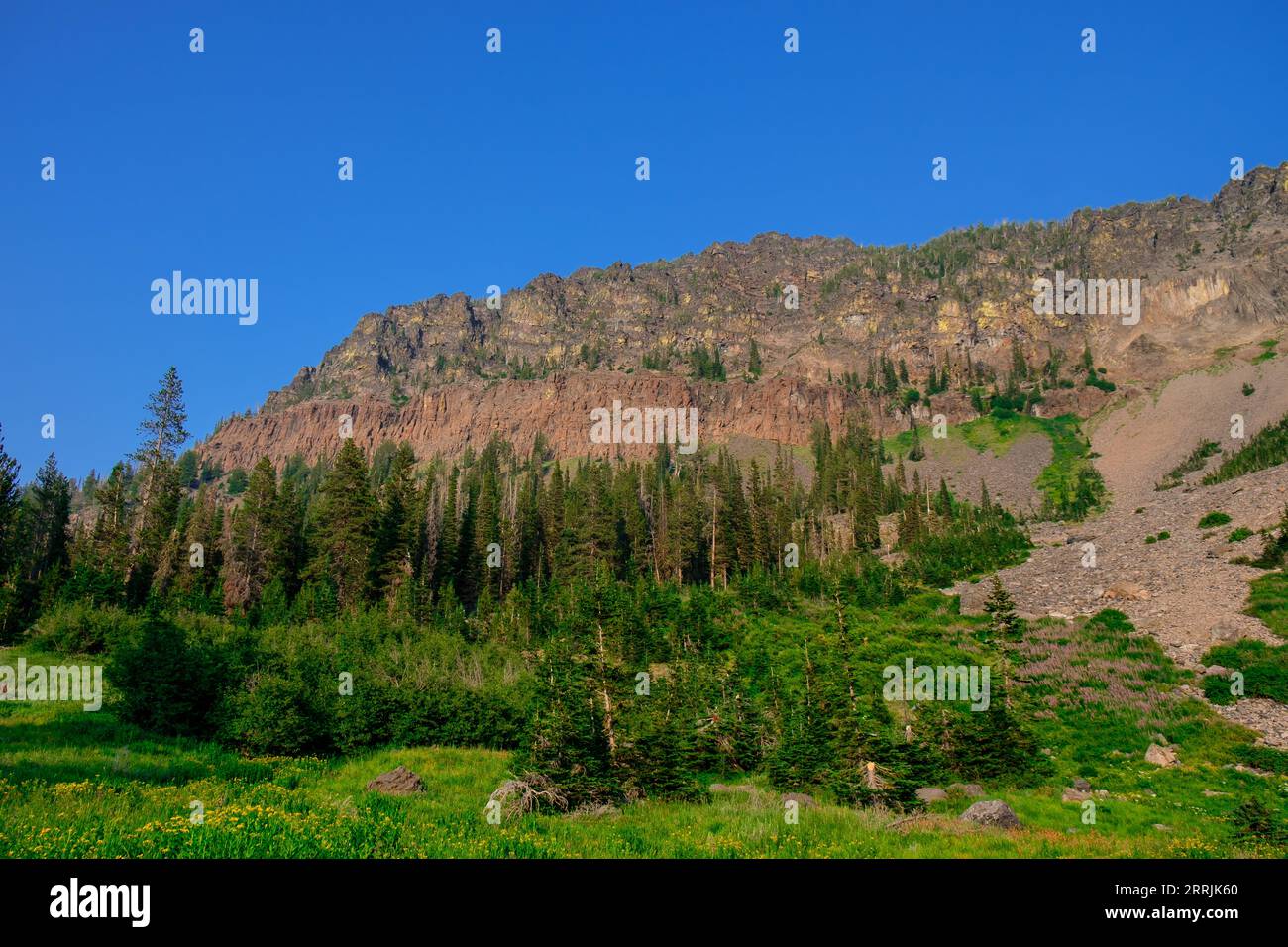 Klippen Oberhalb Des Little Strawberry Lake, Oregon Stockfoto