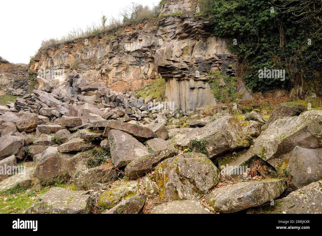Säulenbasalt. Basalt ist ein extrusiver, unergüßiger Fels. Dieses Foto wurde in Sant Joan Les Fonts, La Garrotxa, Provinz Girona, Katalonien, Spanien aufgenommen. Stockfoto