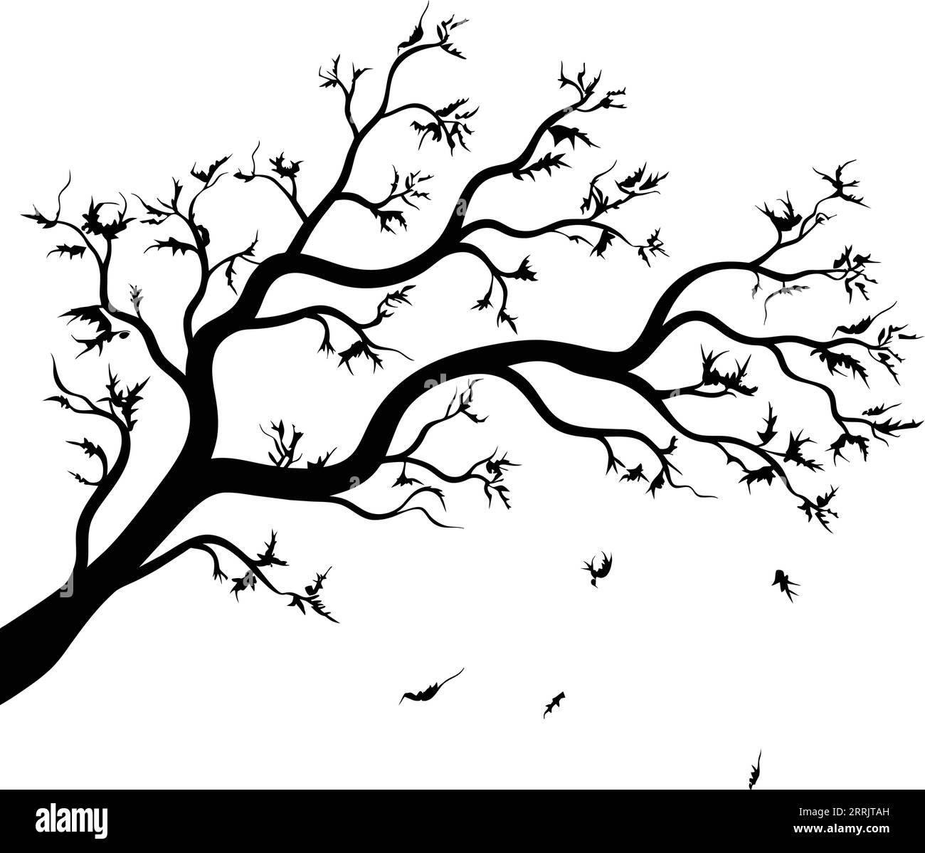 Trockener Zweig. Schwarze Vektorsilhouette eines alten trockenen Zweiges, der vom Baum auf weißem Hintergrund abfiel. Stock Vektor