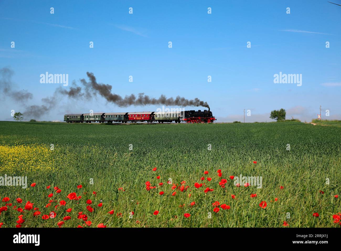 Dampflokomotive 75 1118 ab 1921 auf der Nahverkehrsstrecke Amstetten – Gerstetten bei Stubersheim. Historischer Eisenbahnverkehr der Museumsbahn der Ulmer Eisenbahnfreunde. Die Bahnstrecke befindet sich auf der Schwäbischen Alb. Das Foto wurde zwischen Waldhausen bei Geislingen und Gussenstadt in Baden-Württemberg aufgenommen. Stockfoto