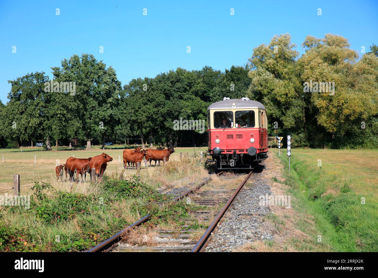 Der Eisenbahnverein „Eisenbahntradition Lengerich“ hat einen alten Dieseltriebwagen (Baujahr 1928) in betriebsbereitem Zustand erhalten, der früher mit der Teutoburger Waldbahn und der Württembergischen Eisenbahn-Gesellschaft in Betrieb war Stockfoto