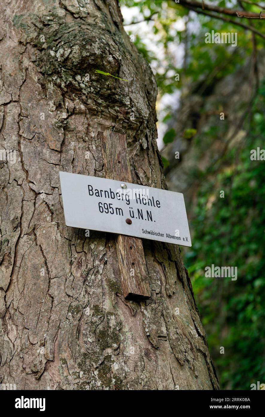 Die Barnberghöhle befindet sich auf dem Nordkamm der Schwäbischen Alb oberhalb der Neuffener Steige auf 695 Metern über dem Meeresspiegel. Die Höhle ist 46 Meter lang. Artefakte aus der neolithischen Zeit wurden darin entdeckt. Es ist als Geotop geschützt und als Naturdenkmal registriert. Geschützter Bereich Nr. 81160462903 gehört die Barnberghöhle zum UNESCO-Geopark Schwäbische Alb, Neuffen. Stockfoto