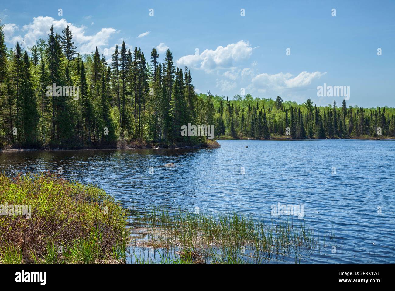 Wunderschöner blauer Boundary Waters See im Norden von Minnesota an einem sonnigen Nachmittag im Sommer Stockfoto