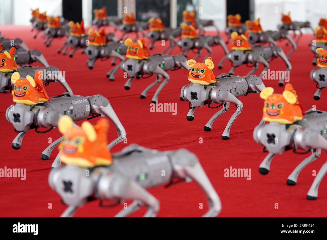 220818 -- PEKING, 18. August 2022 -- Foto aufgenommen am 18. August 2022 zeigt Roboterhunde während einer expo der World Robot Conference 2022 WRC 2022 in Peking, der Hauptstadt Chinas. Die WRC 2022 findet vom 18. Bis 21. August in Peking statt. Mehr als 500 Robotersets werden während der Konferenz gezeigt und über 30 von ihnen debütieren in Peking. Die Konferenz, die sowohl online als auch offline stattfindet, umfasst drei wichtige Veranstaltungen, darunter Forum, expo und Wettbewerb. CHINA-PEKING-WELT ROBOTERKONFERENZ 2022 CN JUXHUANZONG PUBLICATIONXNOTXINXCHN Stockfoto