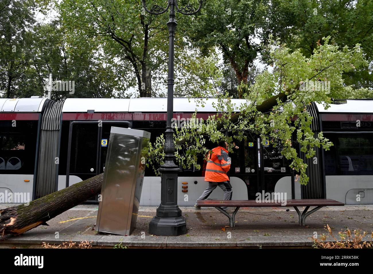 220819 -- FLORENZ, 19. August 2022 -- Ein umgestürzter Baum wird in Florenz, Italien, 18. August 2022 gesehen. Die italienischen Regionen Toskana und Venetien erklärten beide den Ausnahmezustand, als starke Stürme erschütterten und am Donnerstag zwei Menschen durch herabfallende Bäume getötet wurden. STR/Xinhua ITALY-FLORENCE-STORM Stringer PUBLICATIONxNOTxINxCHN Stockfoto