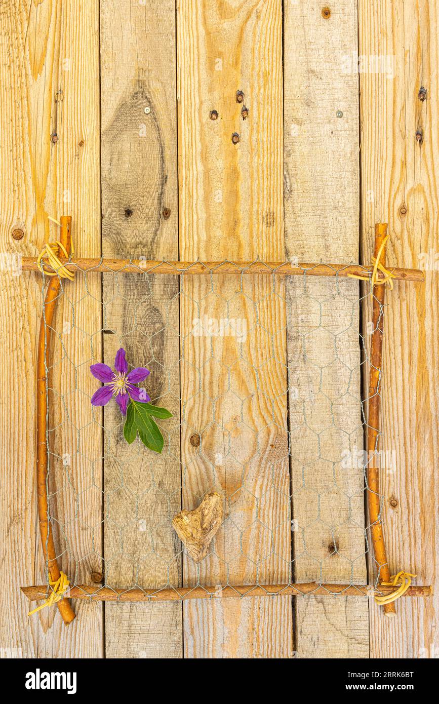 Dekorativer Holzrahmen aus Zweigen auf Holzhintergrund mit Clematisblume und Herförmiges Holz, Deko-Idee, Geschenk-Idee, Naturdekoration Stockfoto