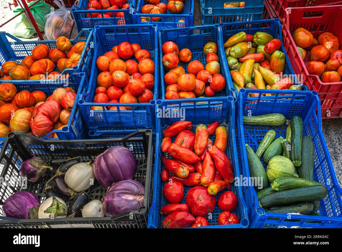 Auf dem Agrarmarkt im Kreuzgang von San Francesco gibt es Kisten mit Gemüse, Tomaten, Kohl und Zucchini. Ascoli Piceno Stockfoto