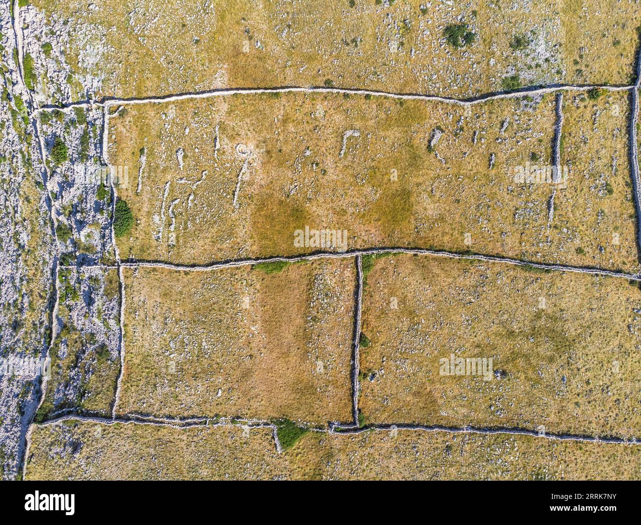 Kroatien, Primorje-Gorski Komitat Kotar, Insel Krk, Trockenmauern genannt Mrgari auf dem Hochland von Baska Stockfoto