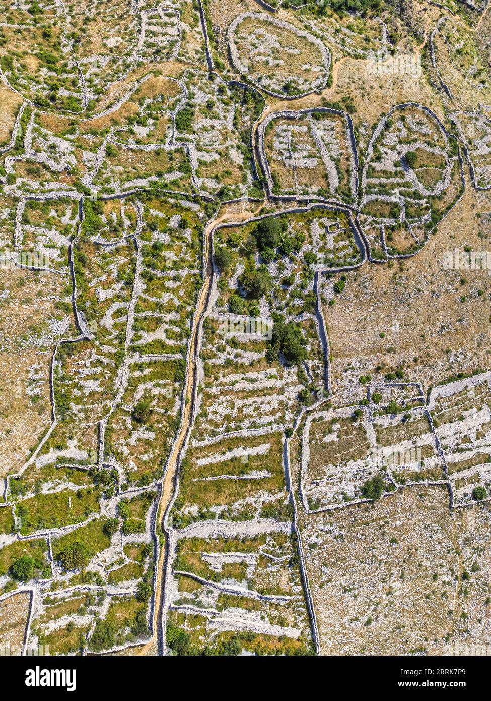 Kroatien, Primorje-Gorski Komitat Kotar, Insel Krk, Trockenmauern genannt Mrgari auf dem Hochland von Baska Stockfoto