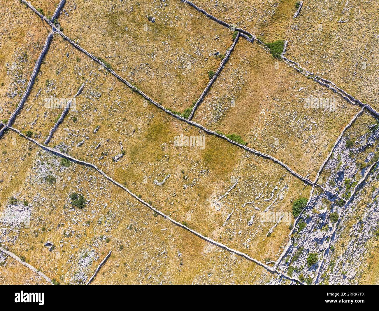 Kroatien, Primorje-Gorski Komitat Kotar, Insel Krk, Trockenmauern genannt Mrgari auf dem Hochland von Baska Stockfoto