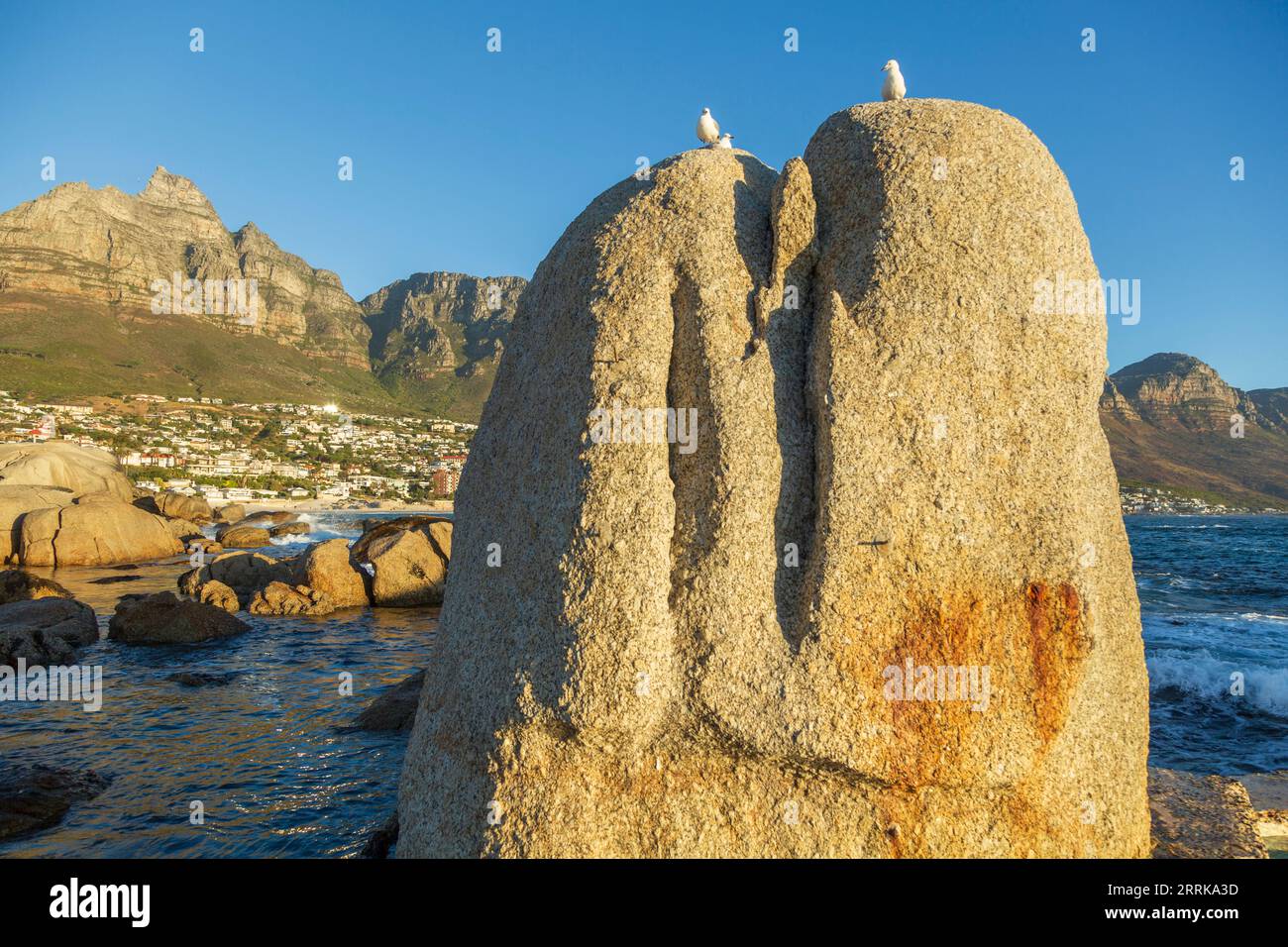 Südafrika, Kapstadt, Camps Bay, Felsen im Wasser, Abendlicht, 12 Apostelgebirge, Vögel sitzen auf Felsen Stockfoto