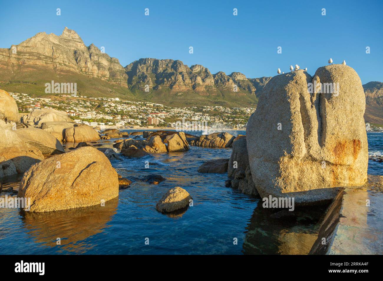 Südafrika, Kapstadt, Camps Bay, Felsen im Wasser, Abendlicht, 12 Apostelgebirge, Vögel sitzen auf Felsen Stockfoto