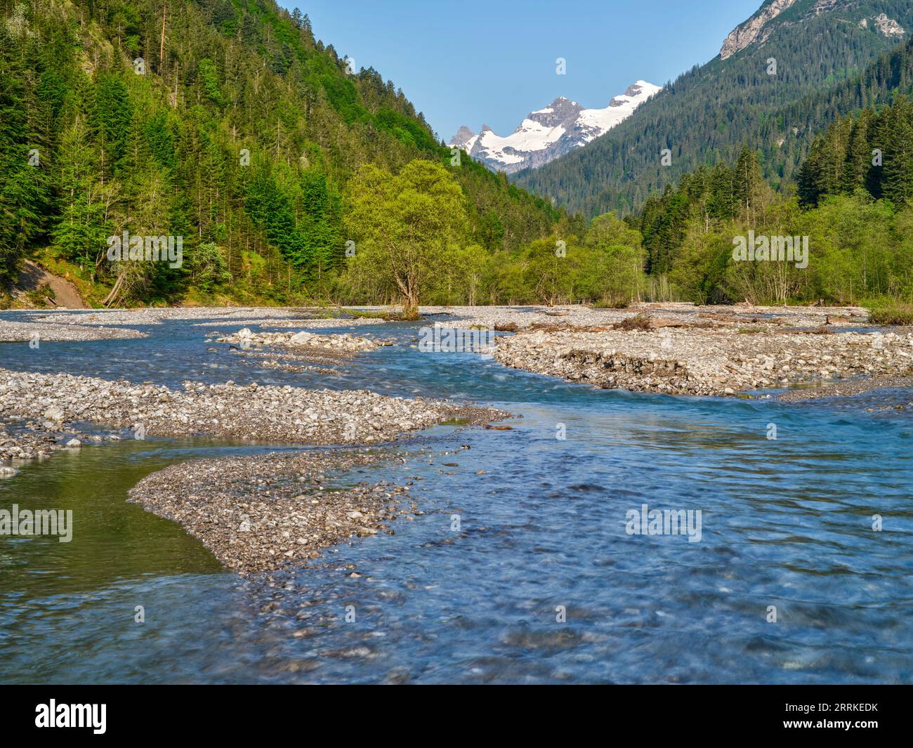 Am Hornbach im Hornbachtal, Naturpark Tiroler Lechtal. Stockfoto