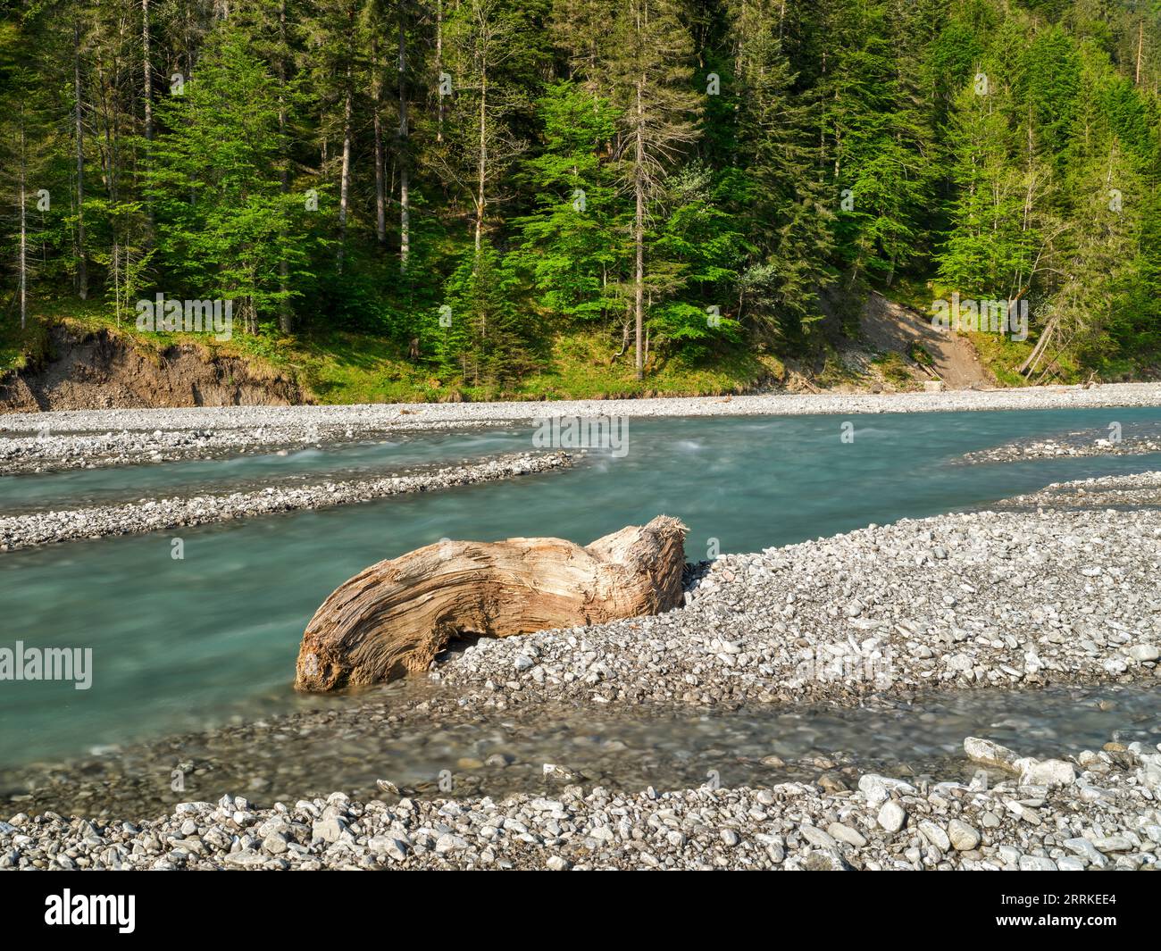 Am Hornbach im Hornbachtal, Naturpark Tiroler Lechtal. Stockfoto